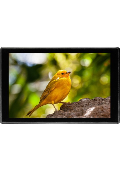 HD7T 7″ Dokunmatik Ekranlı Monitör