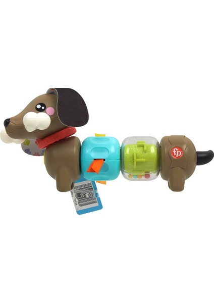 Köpekçikle Eğlenceli Aktiviteler fiyatları