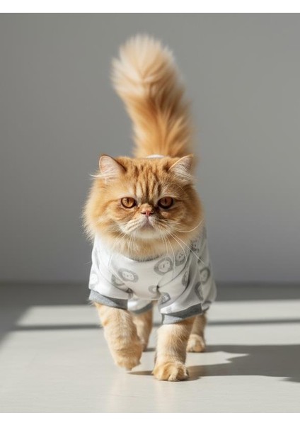 Soft Lion Kedi Tulumu | Pamuklu Penye Kedi Kıyafeti | Küçük Irklar Için | Tüy Dökülmesini Azaltır fiyatları