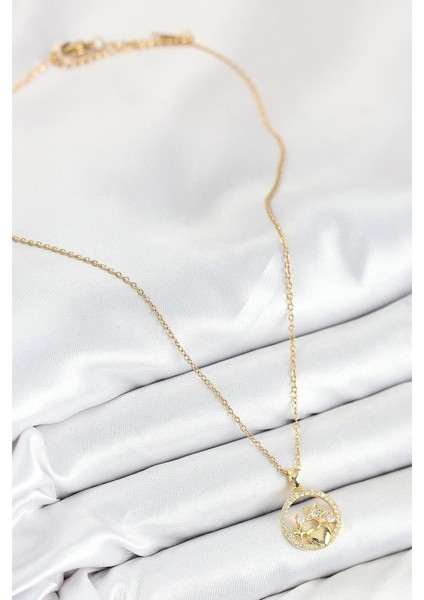 Heyf 316L Çelik Zirkon Taşlı Yıldız ve Kalp Model Gold Renk Kadın Kolye fiyatları