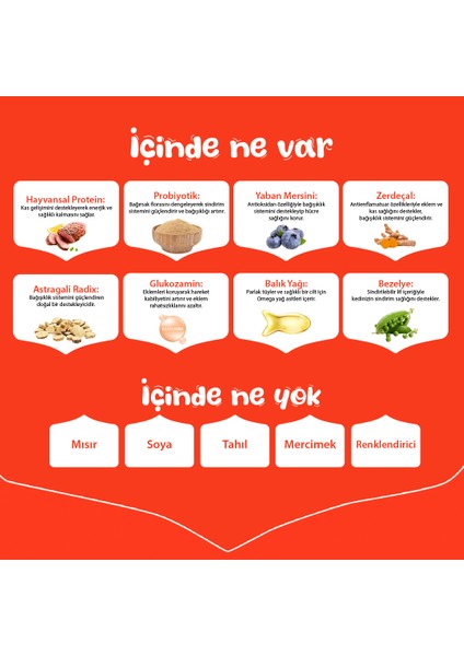 Tahılsız Ördek Etli Yetişkin Köpek Maması indirimleri