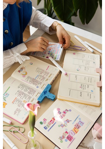 2026 Dikey Haftalık Ajanda 12 Aylık Sert Kapak 18 x 20 cm - Çok Renkli fiyatları