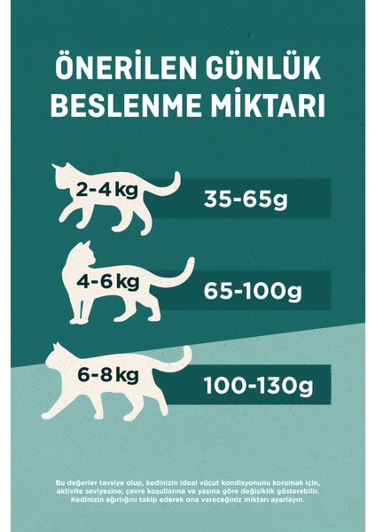 Sterilised Sığır Etli Kısırlaştırılmış Kedi Maması 1,5 Kgx4 indirimleri