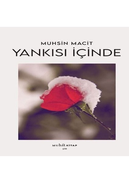 Yankısı Içinde