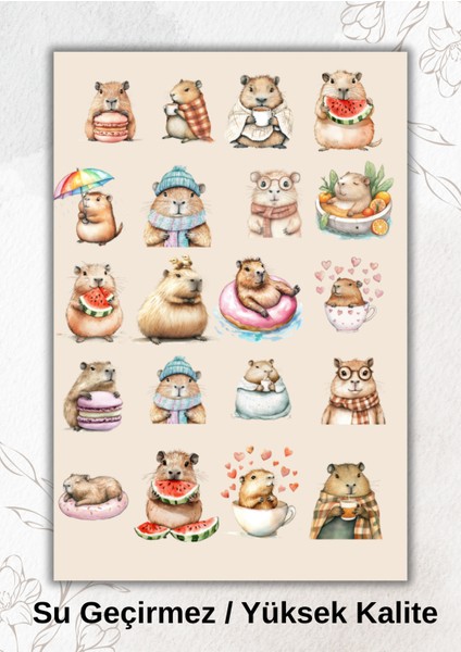 Summer Yaz, Havuz Kapibara Capybara Sticker Ajanda Bullet Journal YRM056