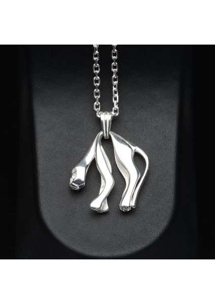 564 Minimalist Kaplan Gümüş Kolye fiyatları