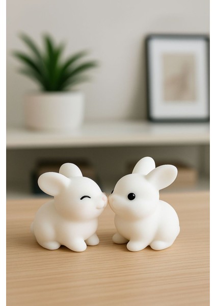 Sevimli Tavşan Çift Araba Süsü, Hediye, Minik Süs, Hediyelik Minik Dekor