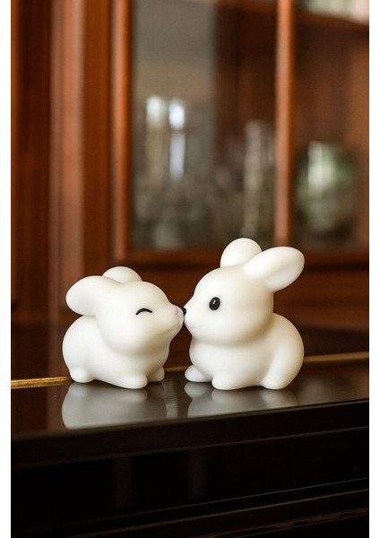 Sevimli Tavşan Çift Araba Süsü, Hediye, Minik Süs, Hediyelik Minik Dekor fiyatları