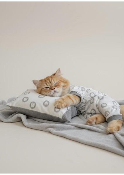 Soft Lion Kedi Uyku Seti | Penye Kedi Tulum ve Mini Yastık Takımı | Pamuklu | Tüy Dökülmesini Azaltır | fırsatları