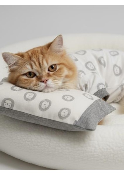 Soft Lion Kedi Uyku Seti | Penye Kedi Tulum ve Mini Yastık Takımı | Pamuklu | Tüy Dökülmesini Azaltır | indirimleri