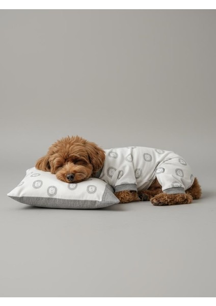 Soft Lion Köpek Uyku Takımı | Pamuklu Penye Köpek Tulumu ve Mini Yastık | Küçük Irklar Için | Tüy Dökülmesini Azaltır