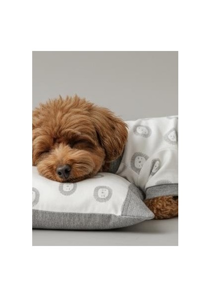 Soft Lion Köpek Uyku Takımı | Pamuklu Penye Köpek Tulumu ve Mini Yastık | Küçük Irklar Için | Tüy Dökülmesini Azaltır fiyatları