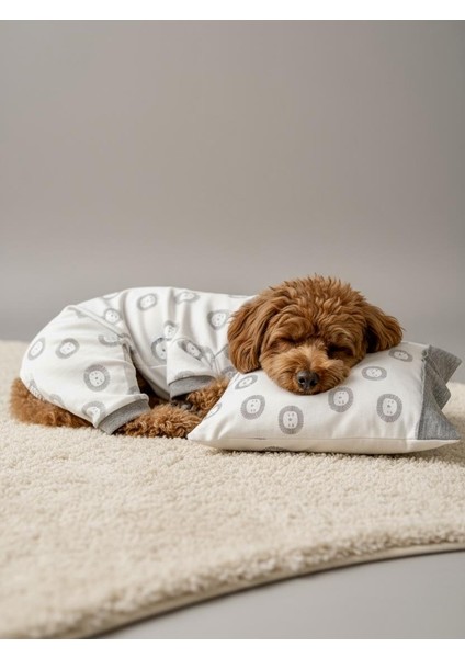 Soft Lion Köpek Uyku Takımı | Pamuklu Penye Köpek Tulumu ve Mini Yastık | Küçük Irklar Için | Tüy Dökülmesini Azaltır indirimleri