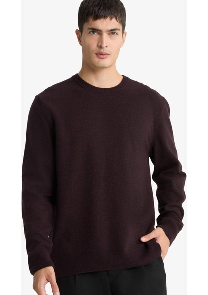 %100 Yün Standart Fit Bisiklet Yaka Kazak F3127AX25WN modelleri