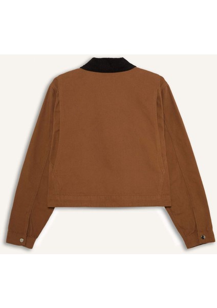 Regular Fit Kontrast Yakalı Fermuarlı Basic Düz Cepli Mevsimlik Pamuklu Ceket Mont