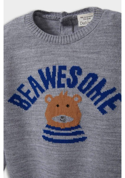 Erkek Bebek Bisiklet Yaka Ayı Baskılı Triko Kazak modelleri