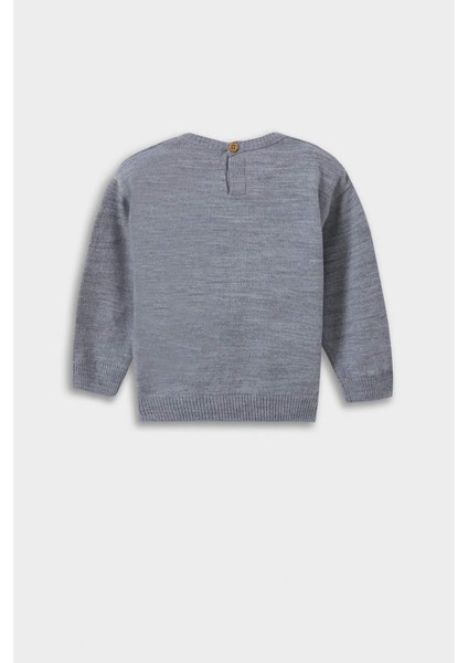 Erkek Bebek Bisiklet Yaka Ayı Baskılı Triko Kazak fırsatları