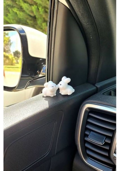 Sevimli Tavşan Çifti Araç Süsü Torpido Aksesuarı
