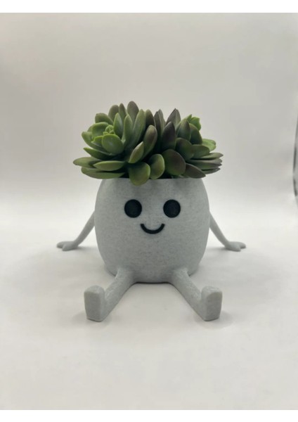 Sevimli Biblo Saksı Seti - Dekoratif Obje - Gülen Surat Çiçeklik - Sevimli Saksı 15CM Genişlik