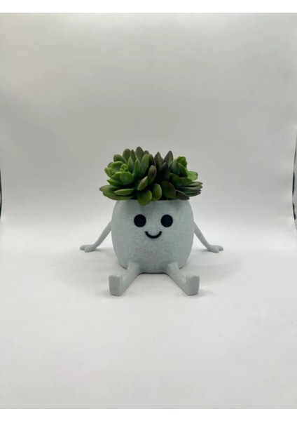 Sevimli Biblo Saksı Seti - Dekoratif Obje - Gülen Surat Çiçeklik - Sevimli Saksı 15CM Genişlik modelleri