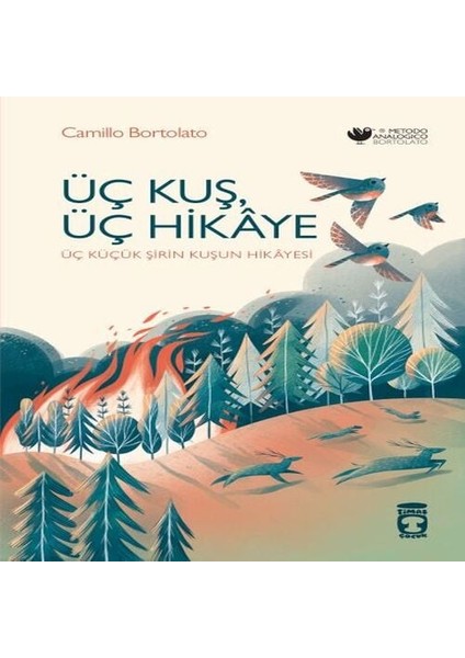 Üç Kuş, Üç Hikâye