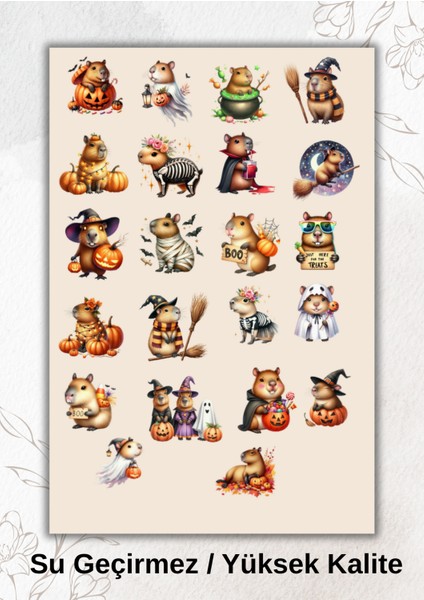 Cadılar Bayramı Kapibara Capybara Sticker Ajanda Bullet Journal YRM053