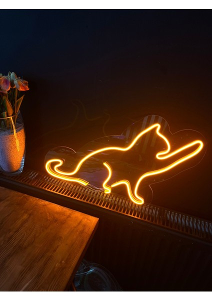 LED Tabela Veteriner Petshop Kedi