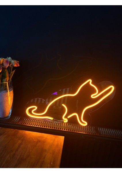 LED Tabela Veteriner Petshop Kedi fiyatları