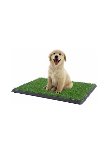 Evcil Dostlar Için Tuvalet Eğitim Pedi – Temiz, Kokusu Yok, Sızıntısız