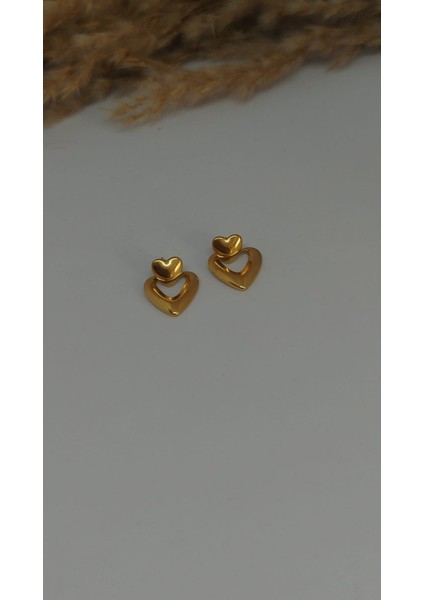 Çelik Kadın Kalpli Küpe fiyatları