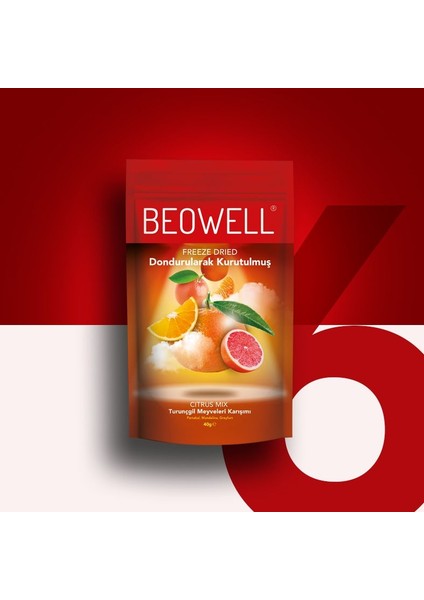 Citrus Mix 6'lı Set – Freeze Dried Dondurularak Kurutulmuş Narenciye Meyveleri