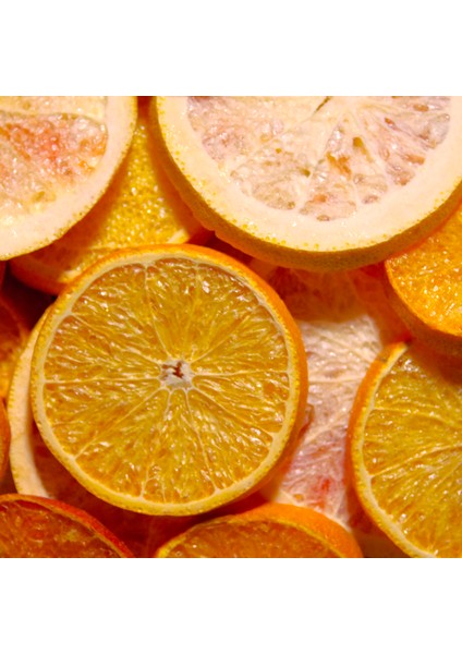 Citrus Mix 6'lı Set – Freeze Dried Dondurularak Kurutulmuş Narenciye Meyveleri indirimleri