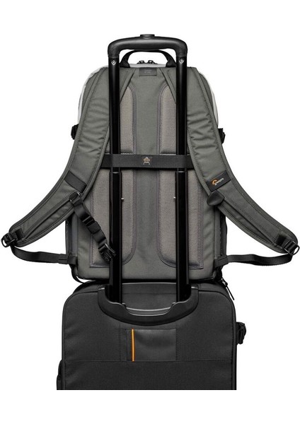 Truckee Bp 250 Lx (Grey) modelleri