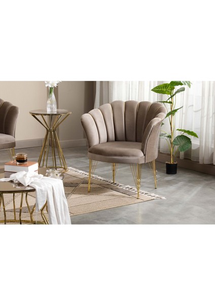 Ofis Ev Çay Seti Koltuk Takımı ve Sehpa modelleri