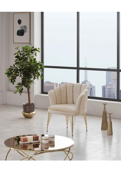 Zentro Ofis Çay Seti Koltuk Takımı ve Sehpa modelleri