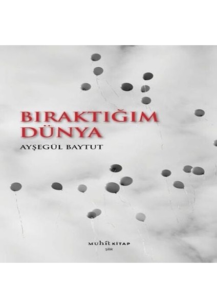 Bıraktığım Dünya