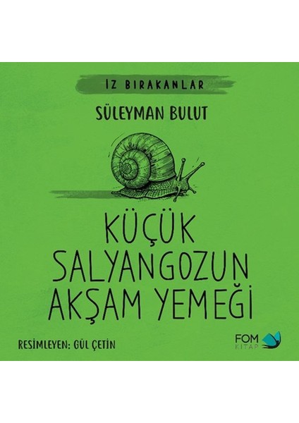 Kum Midyesinin Dalgalı Yolculuğu