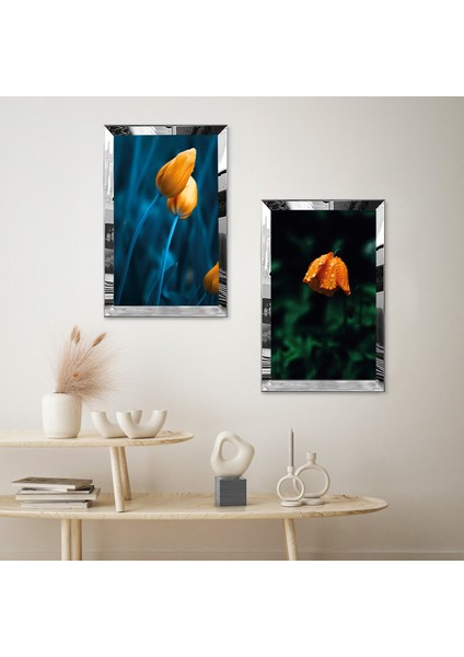 Gümüş Aynalı Pleksi Çerçeveli Turuncu Soyut Çiçekler Ikili Mdf Tablo Seti fiyatları