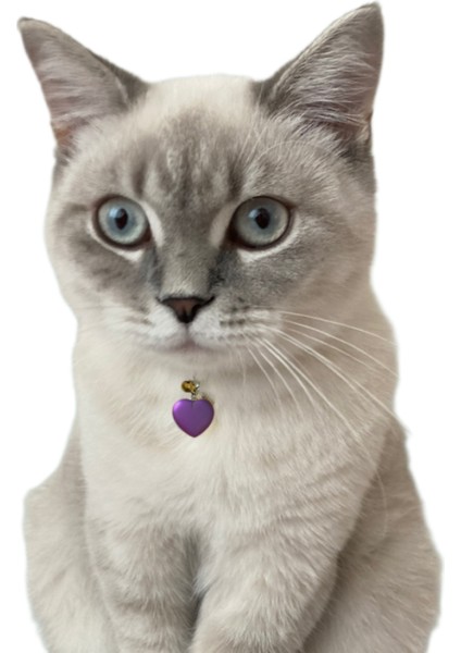 Doğal Taş Kedi Künyesi