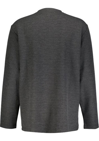 Erkek Sweatshirt fiyatları