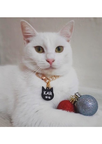 Kedi Şeklinde Siyah Köpek Isimliği / Künyesi fiyatları