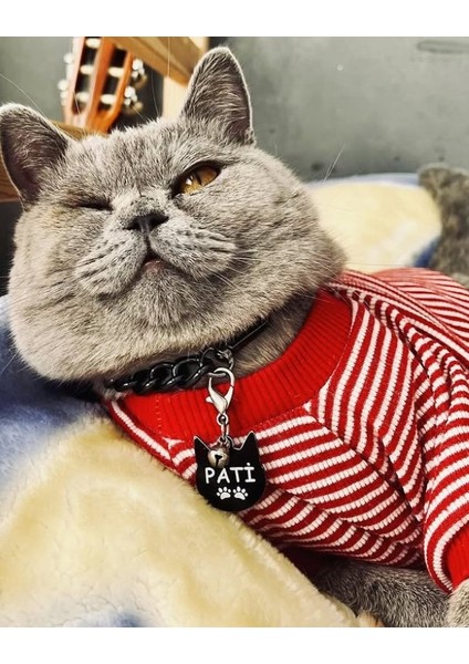 Kedi Şeklinde Siyah Köpek Isimliği / Künyesi modelleri