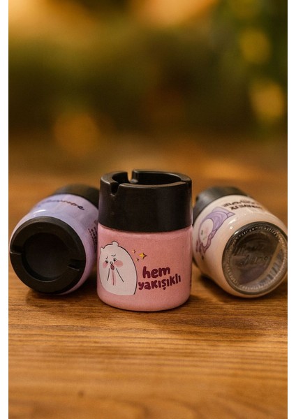 Cam Ev Tipi ve Oto Tipi Küllük fiyatları