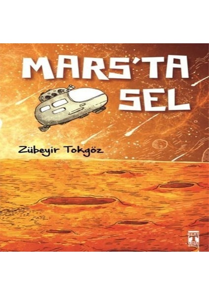 Mars'ta Sel