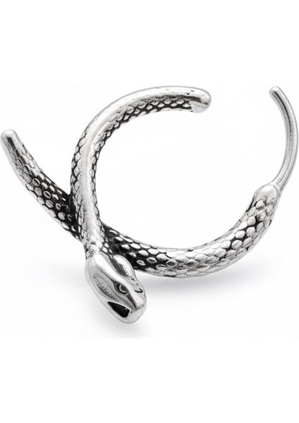 Yılan Figürlü Çelik Küpe fiyatları