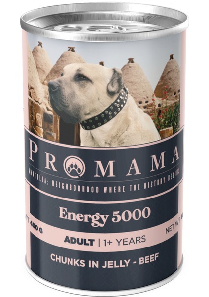 Energy 5000 Yetişkin Biftekli Yaş Konserve Köpek Maması 400 gr 36'lı Koli