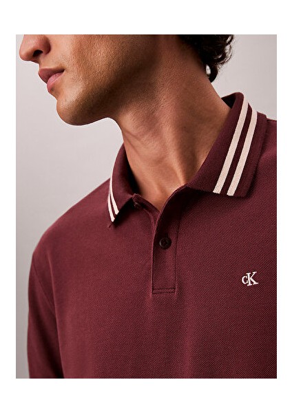 Erkek Kahverengi Polo T-Shirt indirimleri