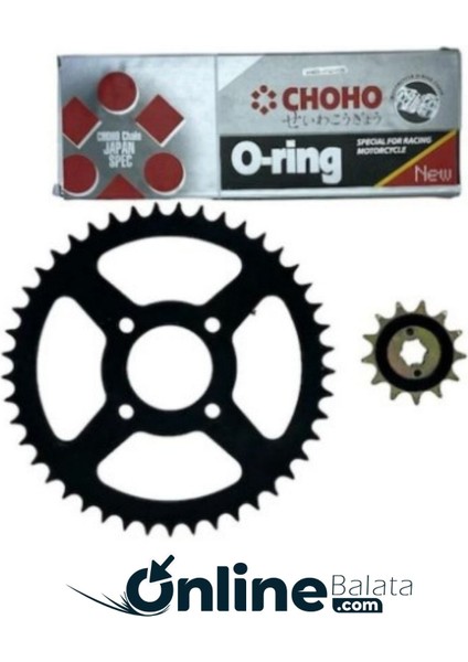 Tvs Raider 125 Zincir Dişli Set Z428