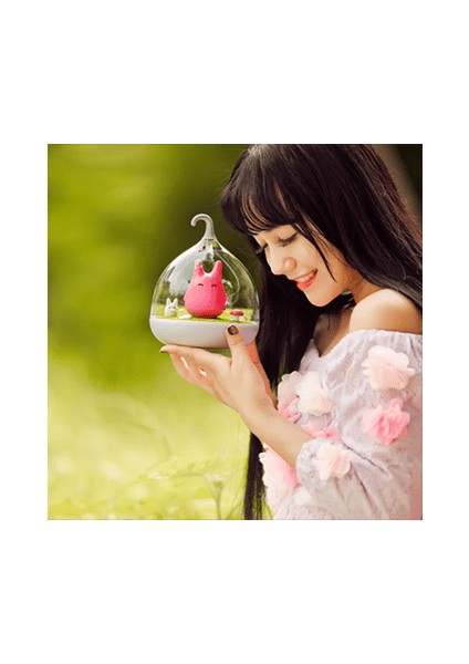 Foreks Clever Night Gece Lambası fiyatları