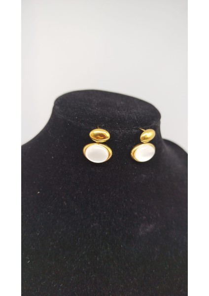 Çelik Kadın Gold Küpe fiyatları